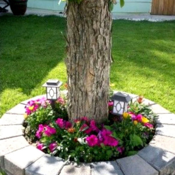 Unique Diy Flower Bed Ideas For Front Yard To Try 30