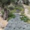 Awesome Mediterranean Garden Design Ideas For Your Backyard 02