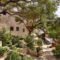 Awesome Mediterranean Garden Design Ideas For Your Backyard 07