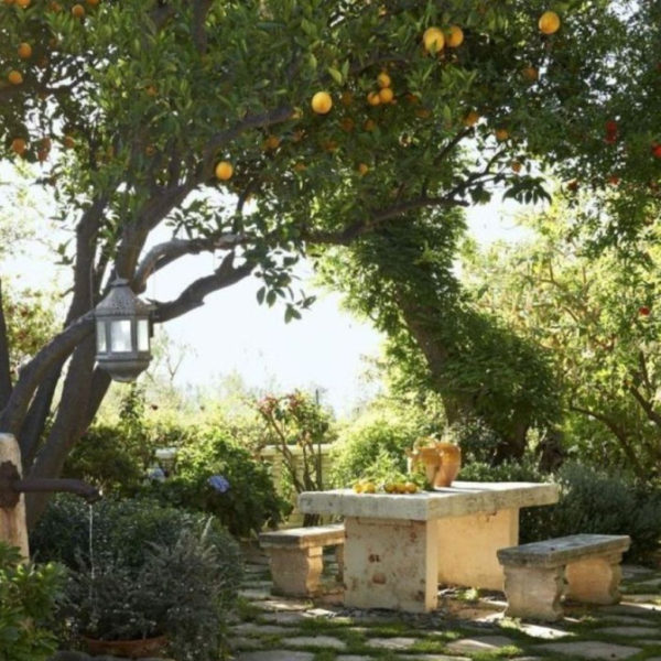 Awesome Mediterranean Garden Design Ideas For Your Backyard 16