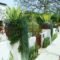 Awesome Mediterranean Garden Design Ideas For Your Backyard 24