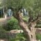 Awesome Mediterranean Garden Design Ideas For Your Backyard 28