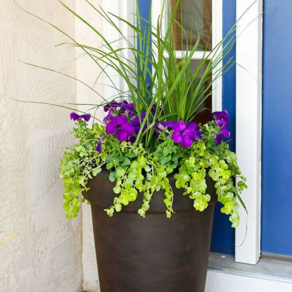 Dreamy Front Door Flower Pots Design Ideas To Increase Your Home Beauty 10