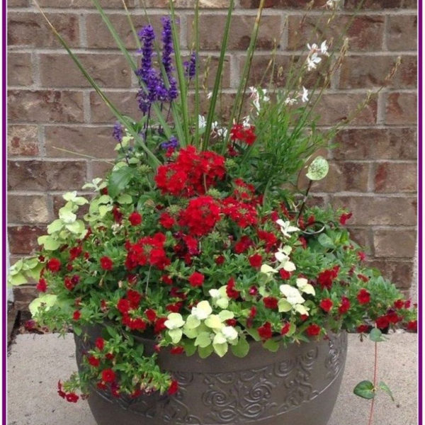 Dreamy Front Door Flower Pots Design Ideas To Increase Your Home Beauty 12
