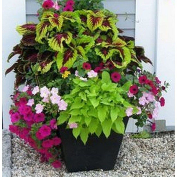 Dreamy Front Door Flower Pots Design Ideas To Increase Your Home Beauty 16