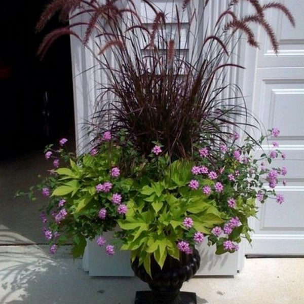 Dreamy Front Door Flower Pots Design Ideas To Increase Your Home Beauty 18