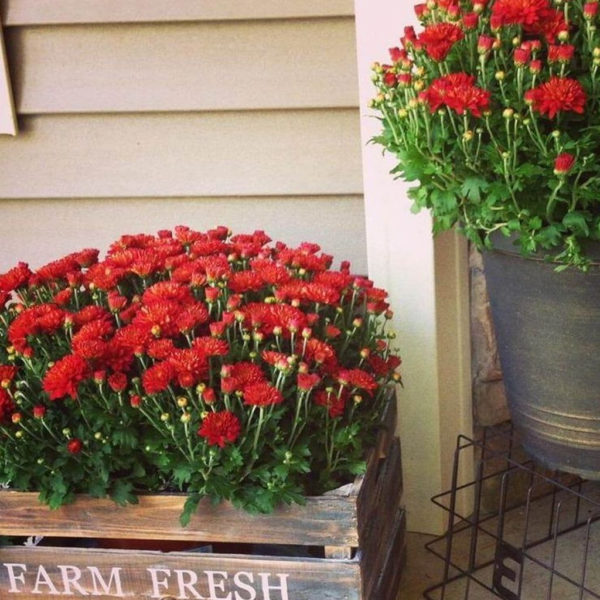 Dreamy Front Door Flower Pots Design Ideas To Increase Your Home Beauty 28