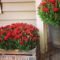 Dreamy Front Door Flower Pots Design Ideas To Increase Your Home Beauty 28