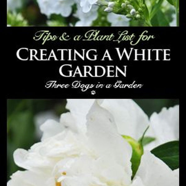 Elegant White Plants Garden Design Ideas For You 02