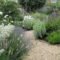 Elegant White Plants Garden Design Ideas For You 08