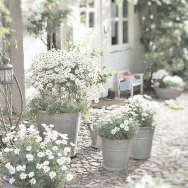 Elegant White Plants Garden Design Ideas For You 09