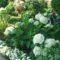 Elegant White Plants Garden Design Ideas For You 16