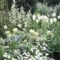 Elegant White Plants Garden Design Ideas For You 17