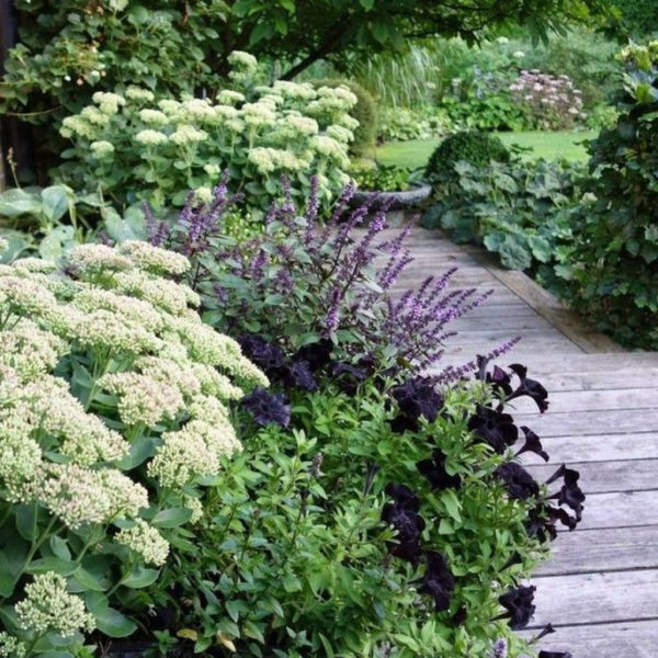 Elegant White Plants Garden Design Ideas For You 20