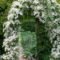 Elegant White Plants Garden Design Ideas For You 21