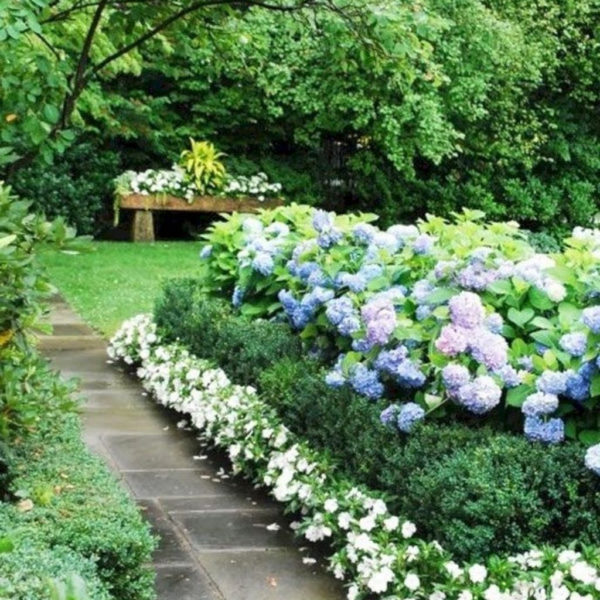 Elegant White Plants Garden Design Ideas For You 24