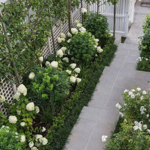 Elegant White Plants Garden Design Ideas For You 27