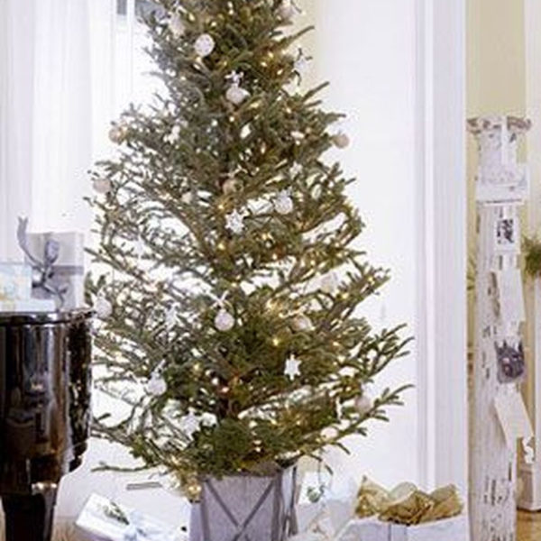 Marvelous Farmhouse Christmas Decor Ideas That You Must Try 04