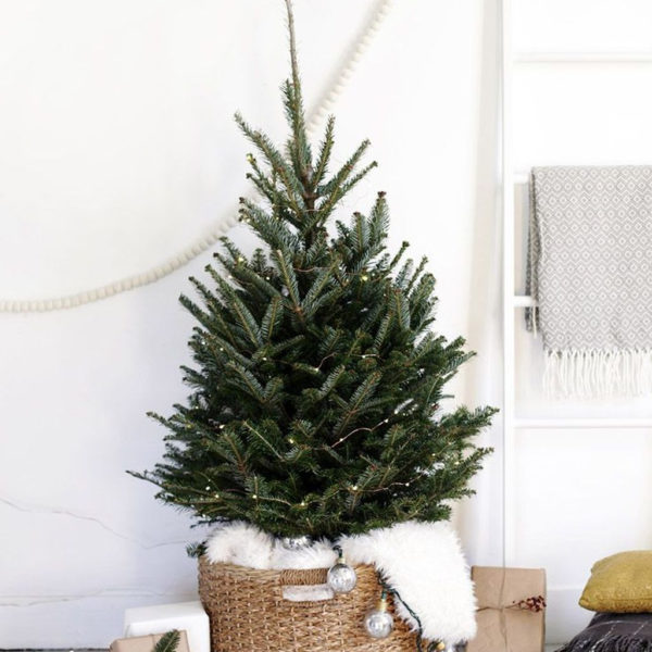 Marvelous Farmhouse Christmas Decor Ideas That You Must Try 35