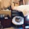 Perfect Dorm Room Organization Decor Ideas To Try Asap 16
