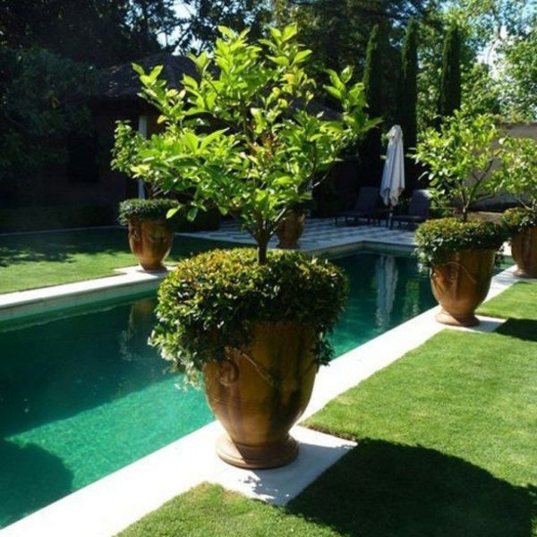 Flawless Small Pool Landscaping Design Ideas For Enchanting Home Outside 13