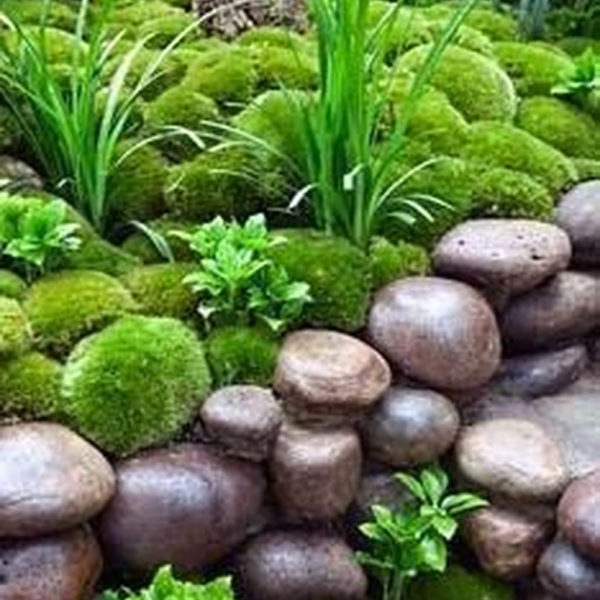 Inspiring Rock Garden Ideas To Make Your Landscaping More Awesome 06