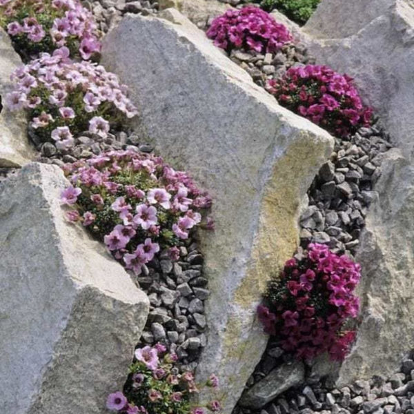 Inspiring Rock Garden Ideas To Make Your Landscaping More Awesome 10
