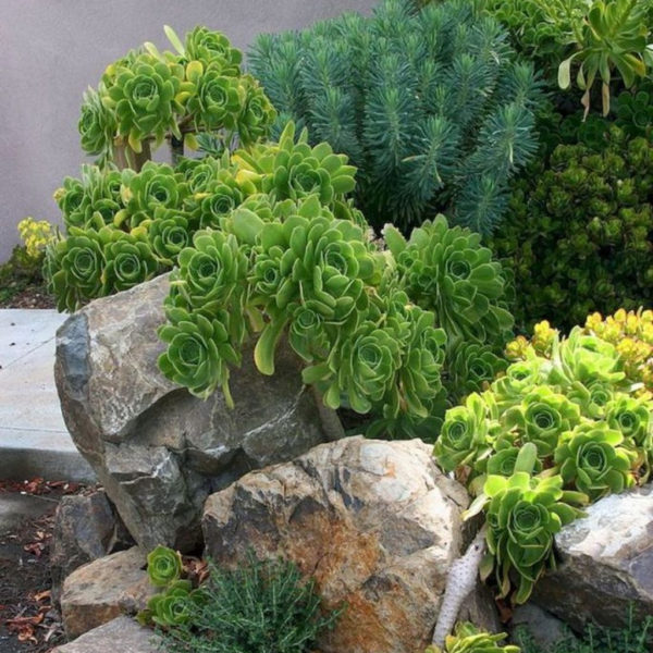 Inspiring Rock Garden Ideas To Make Your Landscaping More Awesome 16