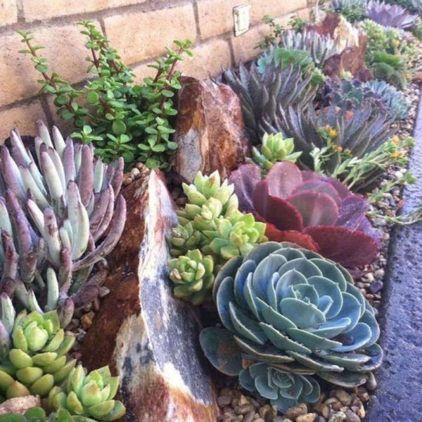 Inspiring Rock Garden Ideas To Make Your Landscaping More Awesome 24