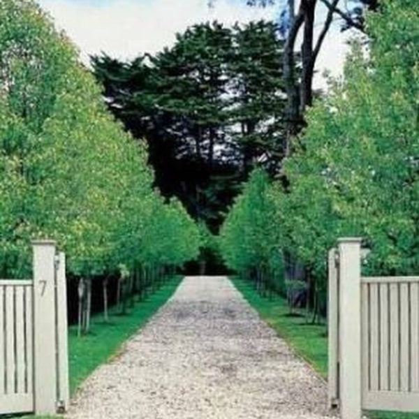 Fabulous Driveway Landscaping Design Ideas For Your Home To Try Asap 15