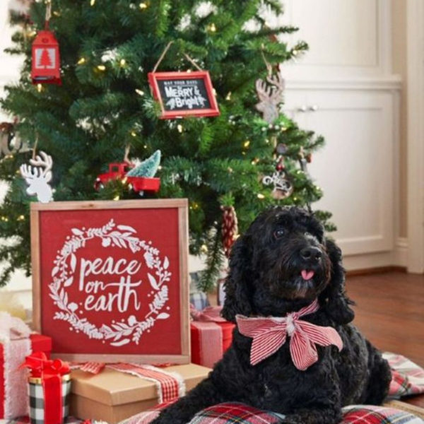 Casual Winter Decorating Ideas For Pet Lovers To Try Right Now 07