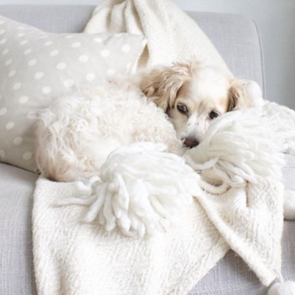 Casual Winter Decorating Ideas For Pet Lovers To Try Right Now 25