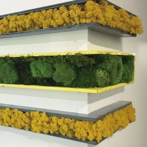 Delicate Natural Moss Wall Art Decorations Ideas To Try Right Now 01