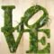 Delicate Natural Moss Wall Art Decorations Ideas To Try Right Now 02