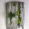 Delicate Natural Moss Wall Art Decorations Ideas To Try Right Now 03