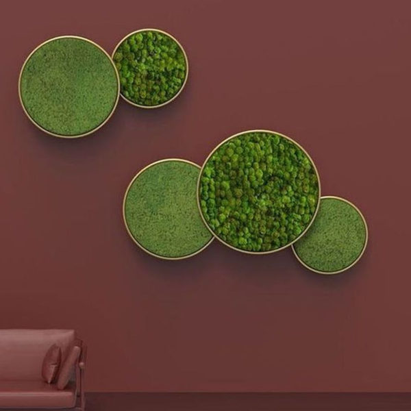 Delicate Natural Moss Wall Art Decorations Ideas To Try Right Now 11