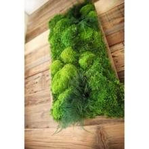 Delicate Natural Moss Wall Art Decorations Ideas To Try Right Now 13