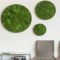 Delicate Natural Moss Wall Art Decorations Ideas To Try Right Now 14