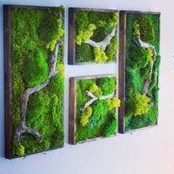 Delicate Natural Moss Wall Art Decorations Ideas To Try Right Now 16