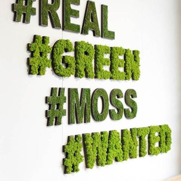 Delicate Natural Moss Wall Art Decorations Ideas To Try Right Now 19