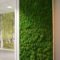 Delicate Natural Moss Wall Art Decorations Ideas To Try Right Now 21