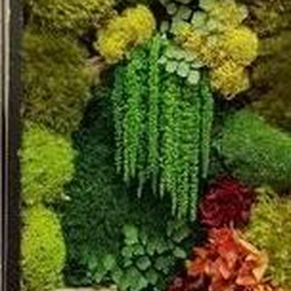 Delicate Natural Moss Wall Art Decorations Ideas To Try Right Now 23