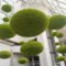 Delicate Natural Moss Wall Art Decorations Ideas To Try Right Now 29