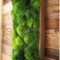 Delicate Natural Moss Wall Art Decorations Ideas To Try Right Now 30
