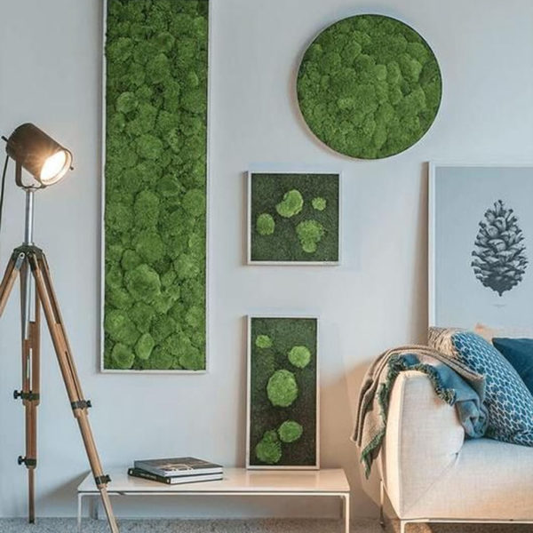 Delicate Natural Moss Wall Art Decorations Ideas To Try Right Now 31