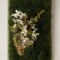 Delicate Natural Moss Wall Art Decorations Ideas To Try Right Now 33