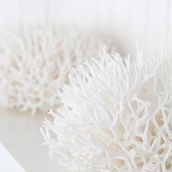 Inspiring Beach And Coral Themed Bathroom Design Ideas To Try Right Now 11