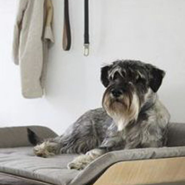 Trendy Dog Bed Design Ideas With Scandinavian Look To Have Right Now 11