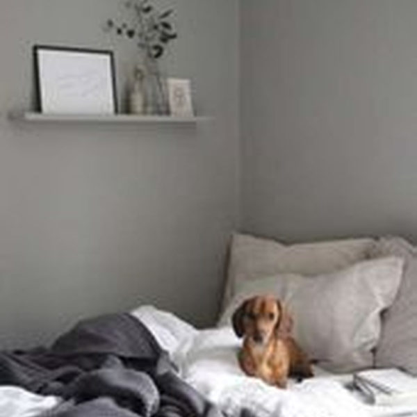 Trendy Dog Bed Design Ideas With Scandinavian Look To Have Right Now 29