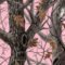 Sophisticated Pink Winter Tree Design Ideas That Looks So Cute 02